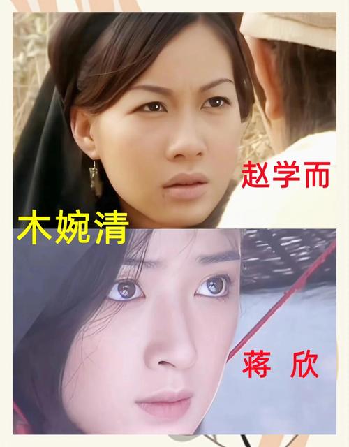 木婉清美颜杀